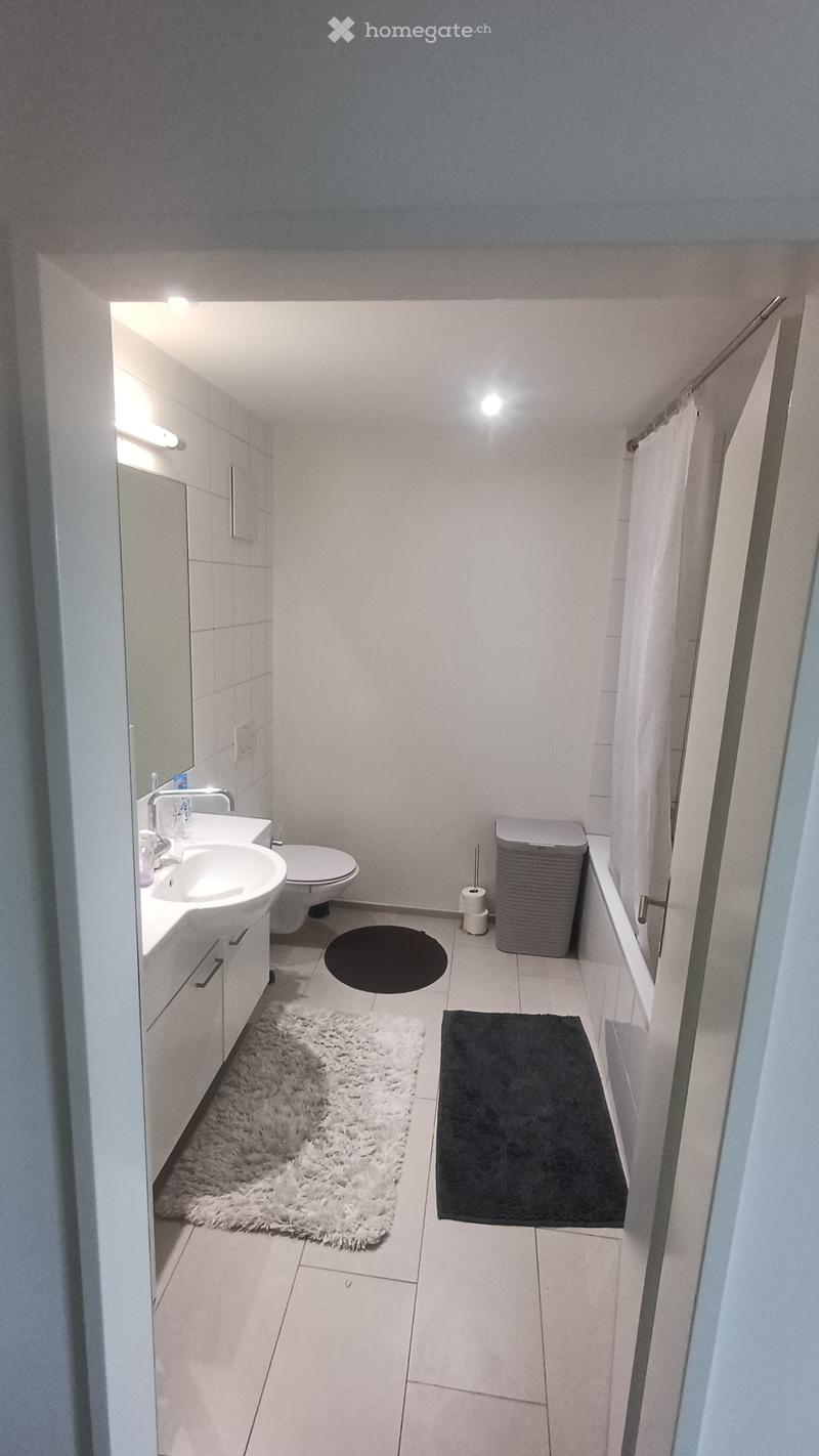 Helle 4.5 Zimmerwohnung in Münchenstein (5)