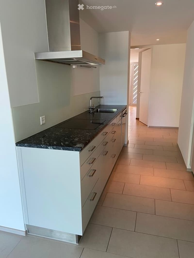 Helle 4.5 Zimmerwohnung in Münchenstein (4)