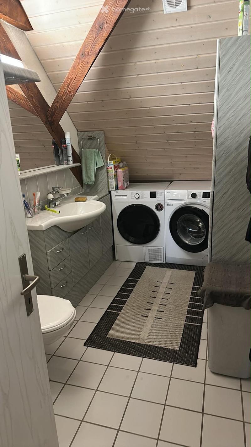 Nachmieter gesucht: Schöne 4.5-Zimmer-Dachwohnung (3)