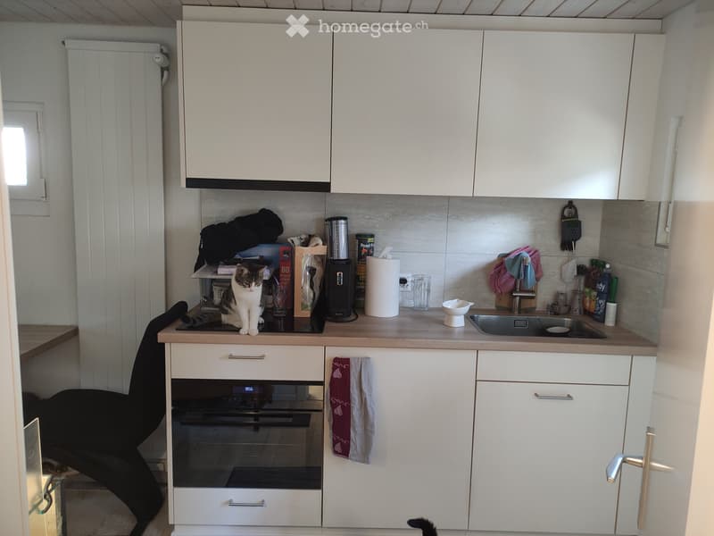 1 Zimmerwohnung per 1.7.26 (3)