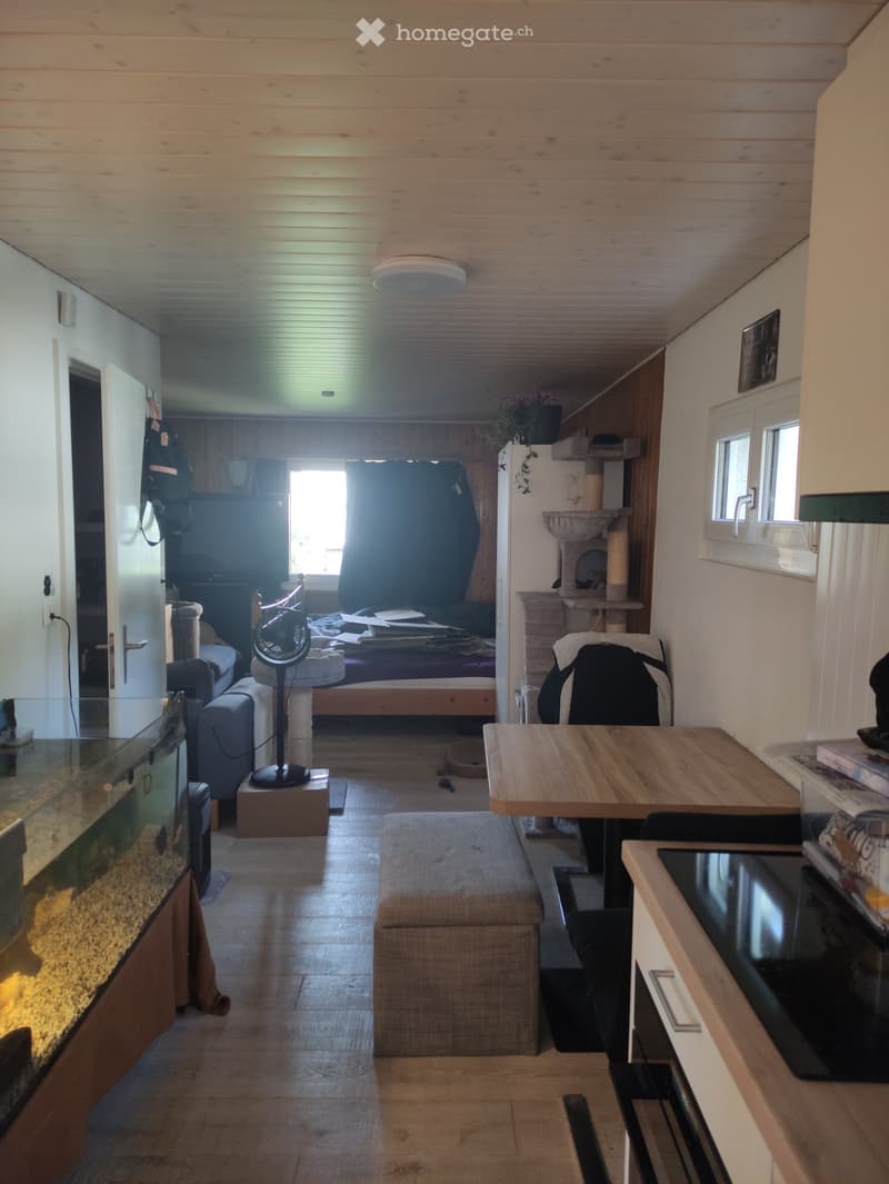 1 Zimmerwohnung per 1.7.26 (2)