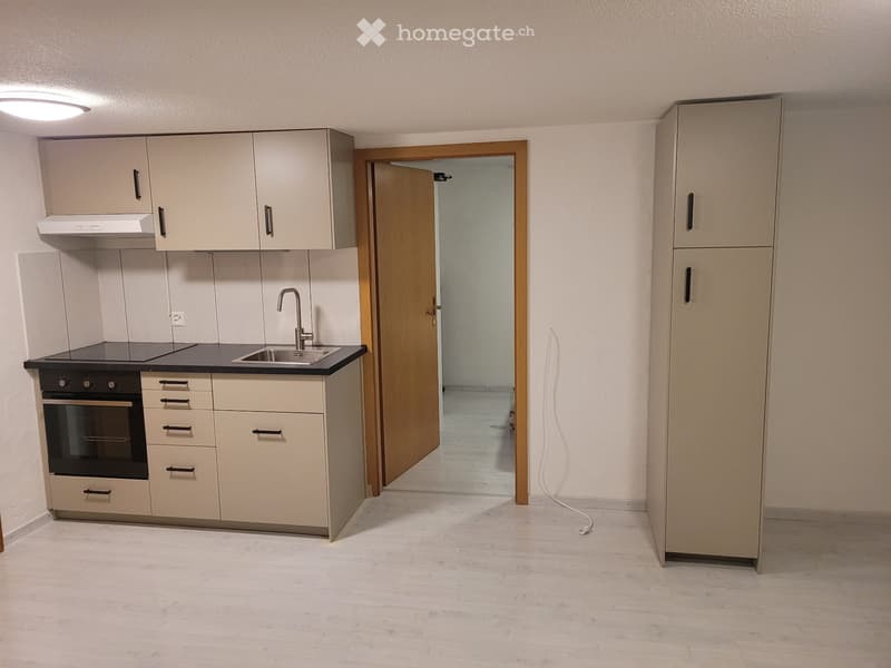 2-Zimmer Wohnung zu vermieten (2)