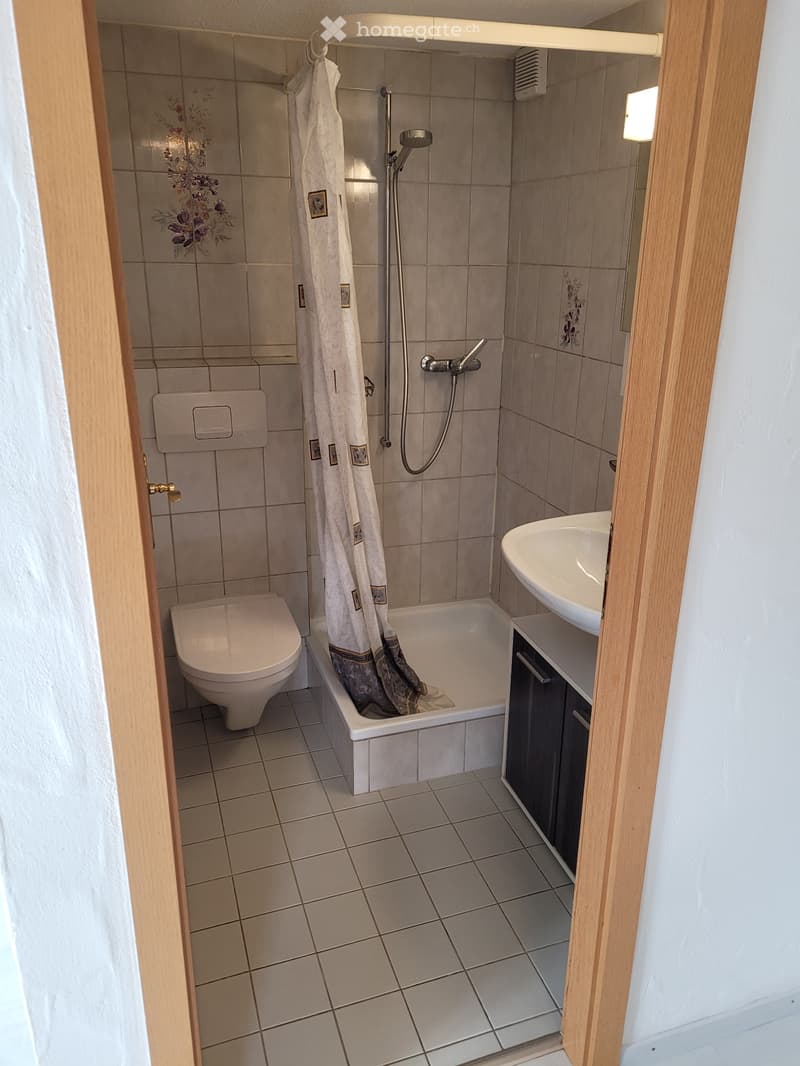 2-Zimmer Wohnung zu vermieten (3)