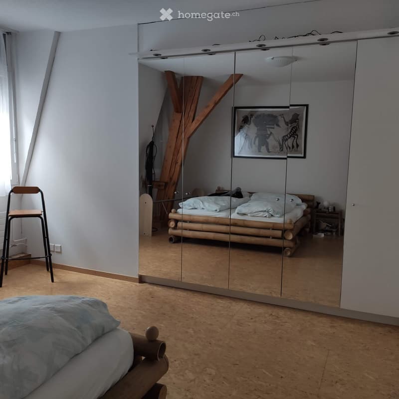 Haus der 5 Sinne  Ausserge.  Loftwohnung mit über 120 m² WF (4)