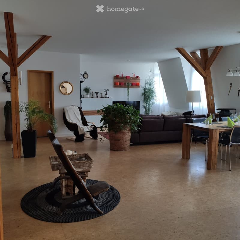 Haus der 5 Sinne  Ausserge.  Loftwohnung mit über 120 m² WF (2)