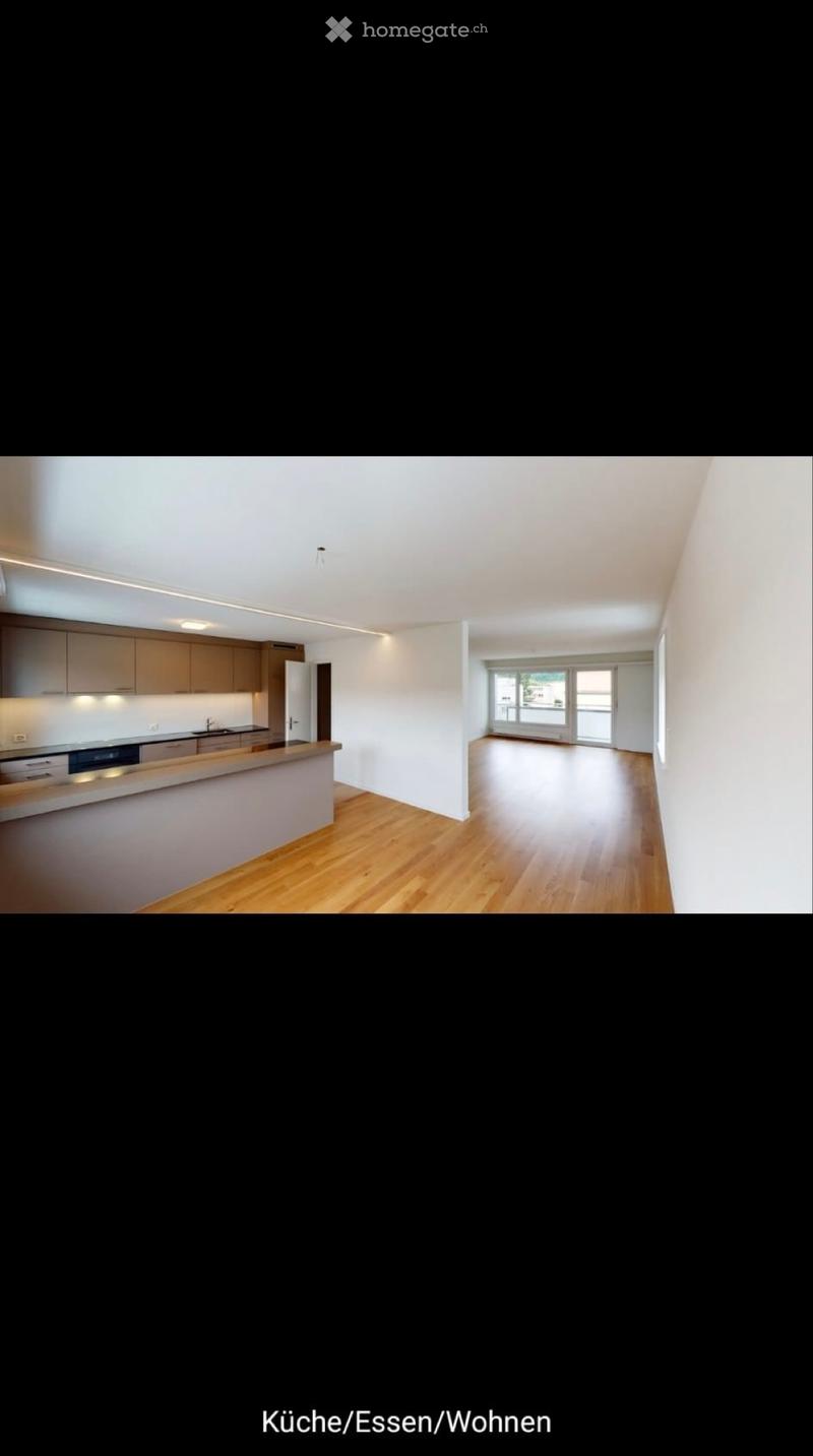 4,5 Zimmer Wohnung (2)