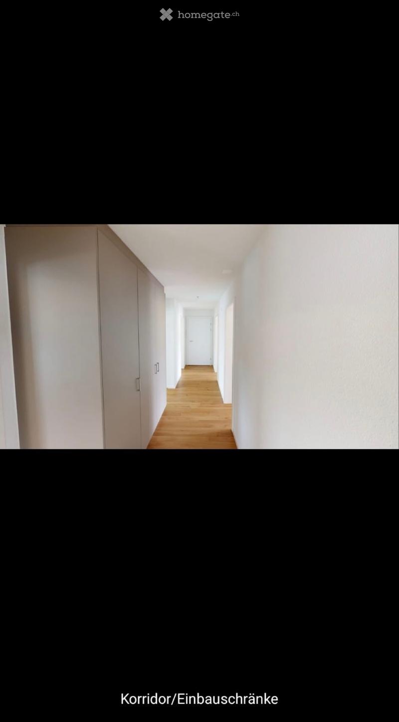 4,5 Zimmer Wohnung (4)