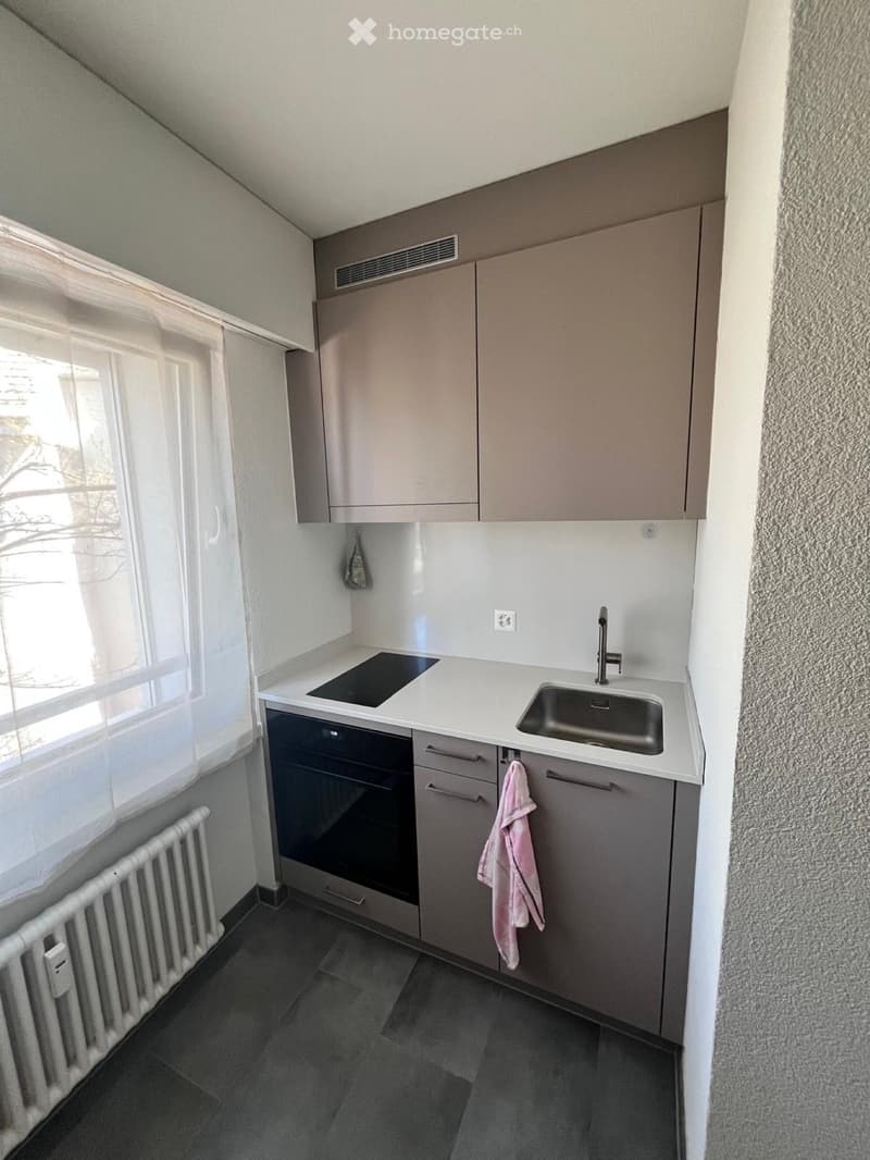 Frisch renovierte 1-Zimmer-Wohnung Nachmieter:in gesucht (3)