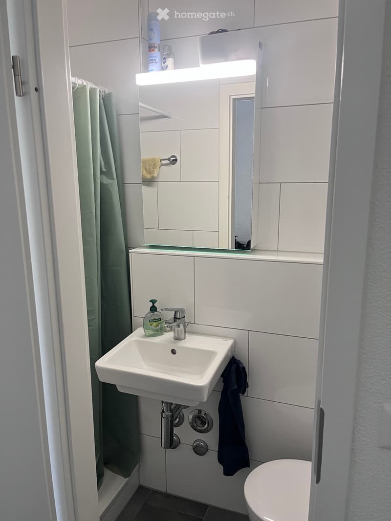 Frisch renovierte 1-Zimmer-Wohnung Nachmieter:in gesucht (4)