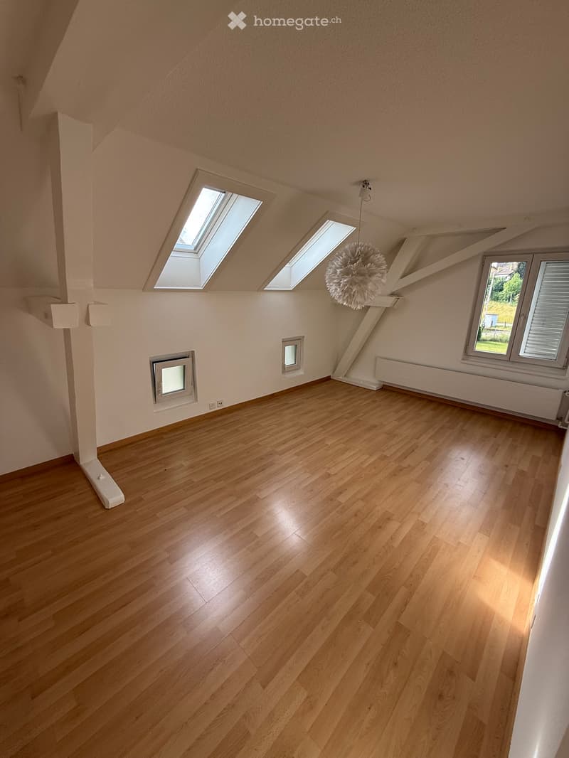 Schönes Einfamilienhaus an guter Lage in Uster (3)
