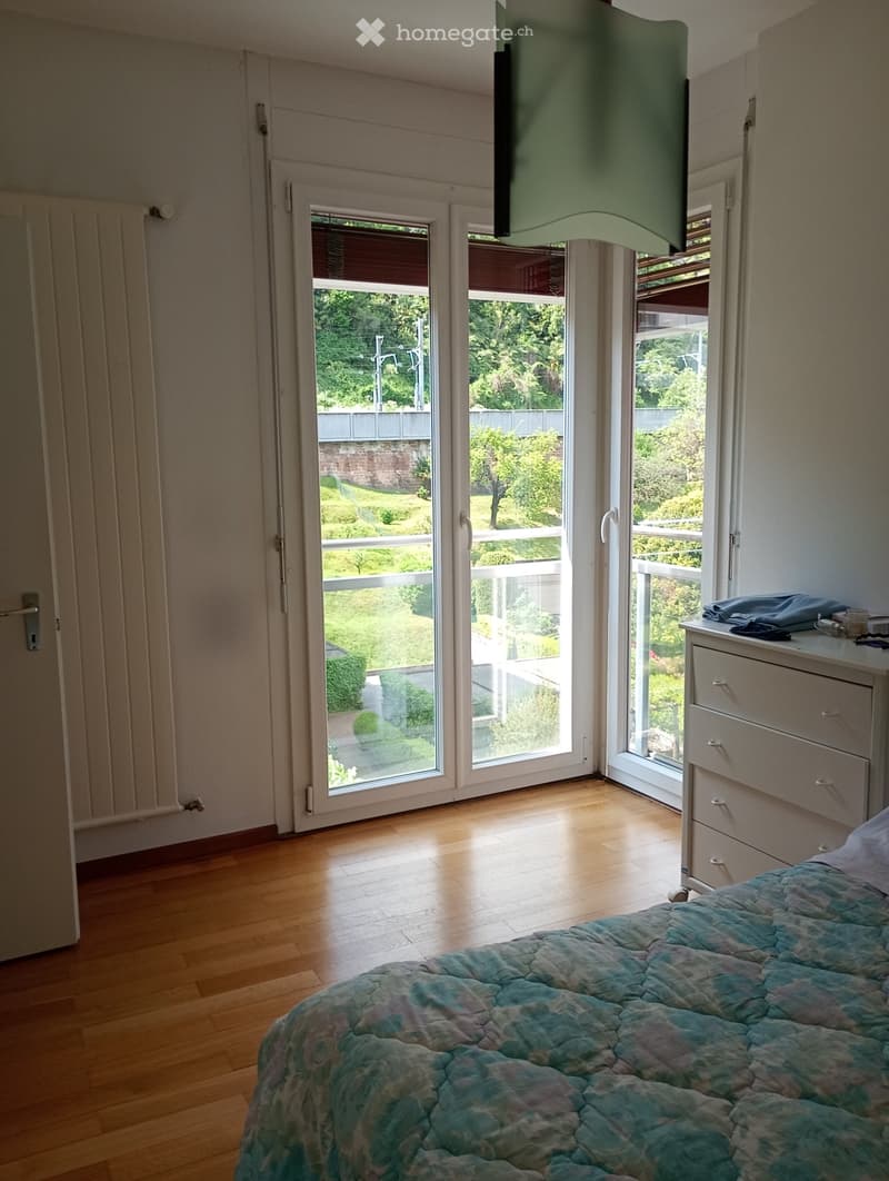 Cerco subentrante per 2,5 vani a Lugano Loreto (3)