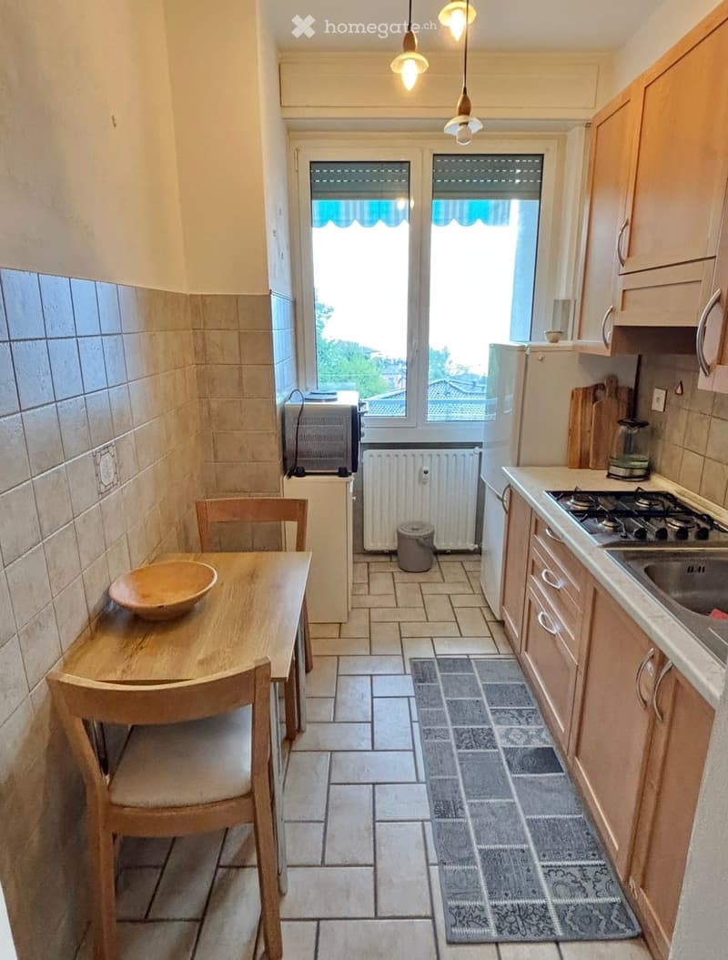 Campione: monolocale arredato cucina separata (5)