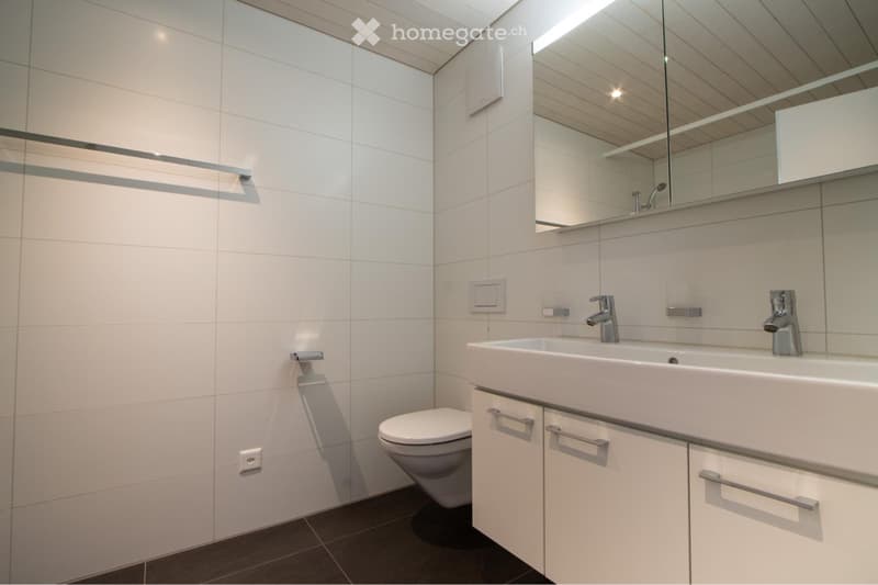 Schöne 4.5 Zimmer-Dachwohnung (3)