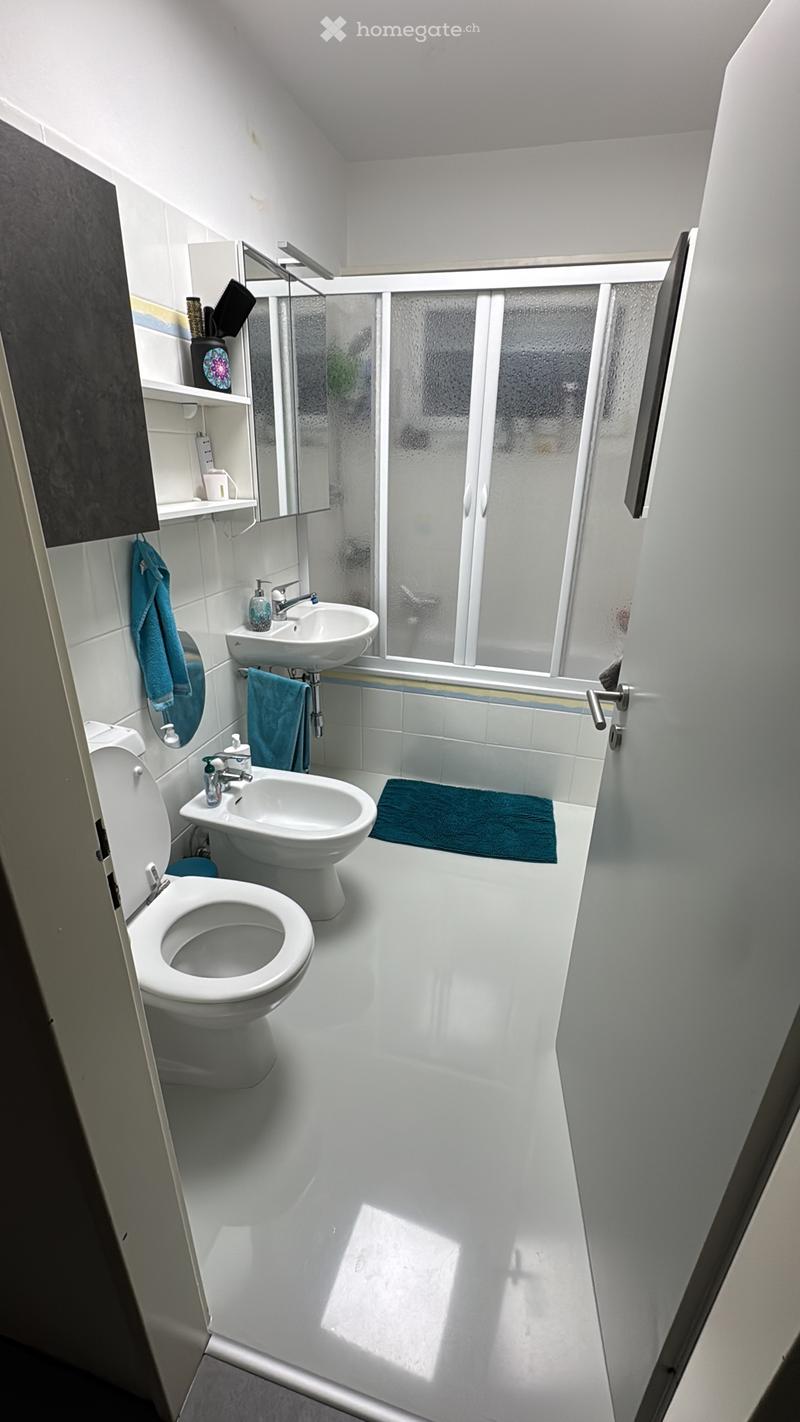 AMPIO 4.5 LOCALI CON PISCINA CONDOMINIALE E TERRAZZO (4)