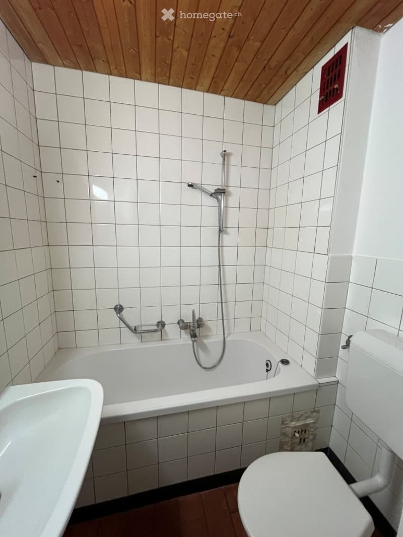 Kleine aber feine 3-Zimmerwohnung in Aarau (5)