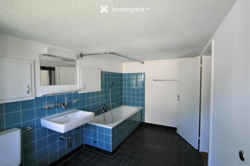 Sehr schönes 4-Zimmer-Eck-Flarzhaus zu vermieten (2)