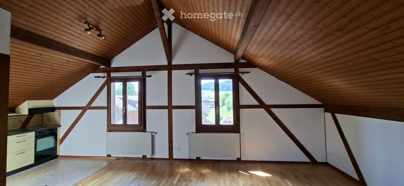 Ab sofort 2.5 Zi Dachwohnung, viel Holz, ruhig, nähe Spital. (3)