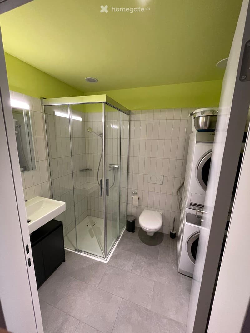 Moderne, möblierte 1.5-Zimmer-Wohnung im Aeschbachquartier (4)