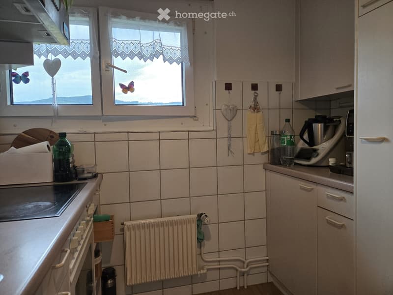 Nachmiter gesucht (2)