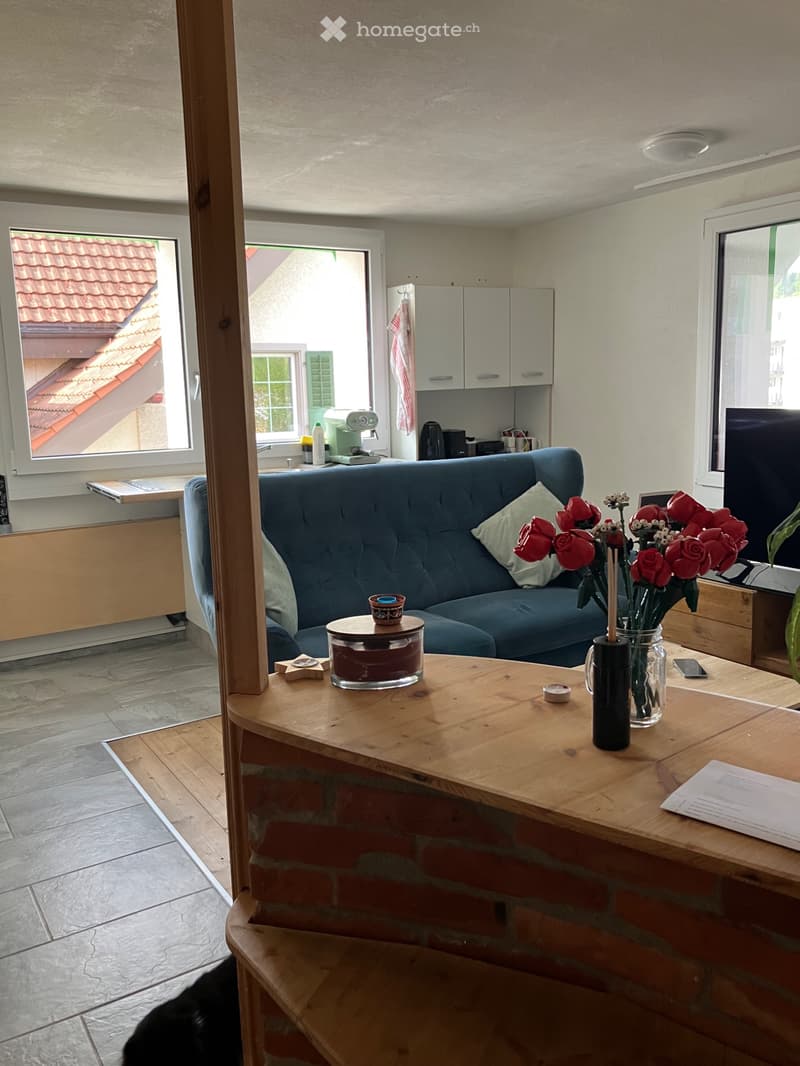 4,5 Zi- Wohnung mit grossem Garten (4)