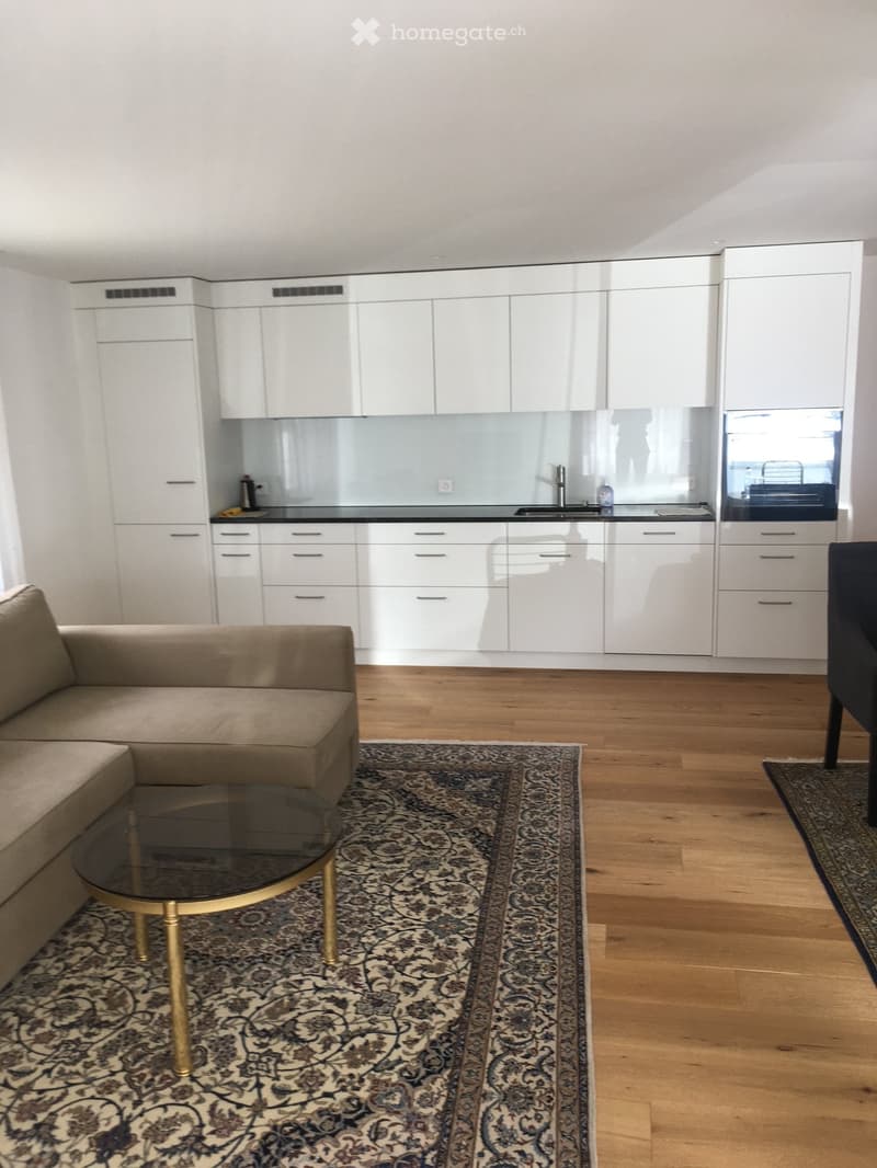 2.5 Zimmer Wohnung (3)