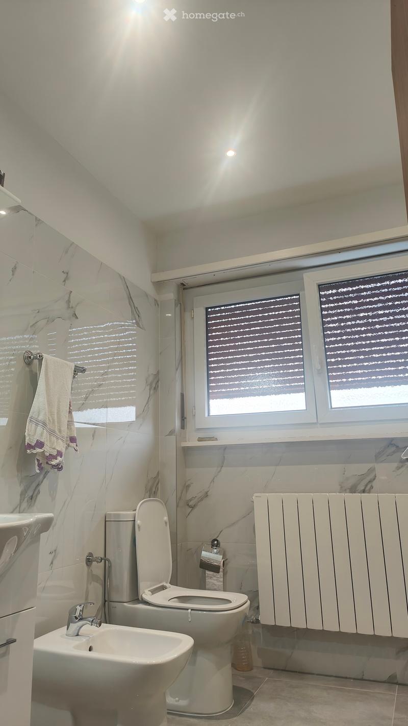 Subentrante appartamento 3½ (3)
