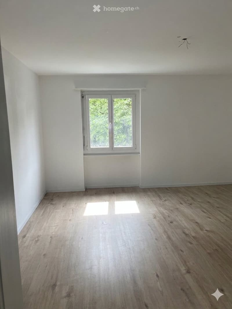 Nachmieter gesucht  2-Zi-Wohnung, Aarburg, ab 1. August (3)