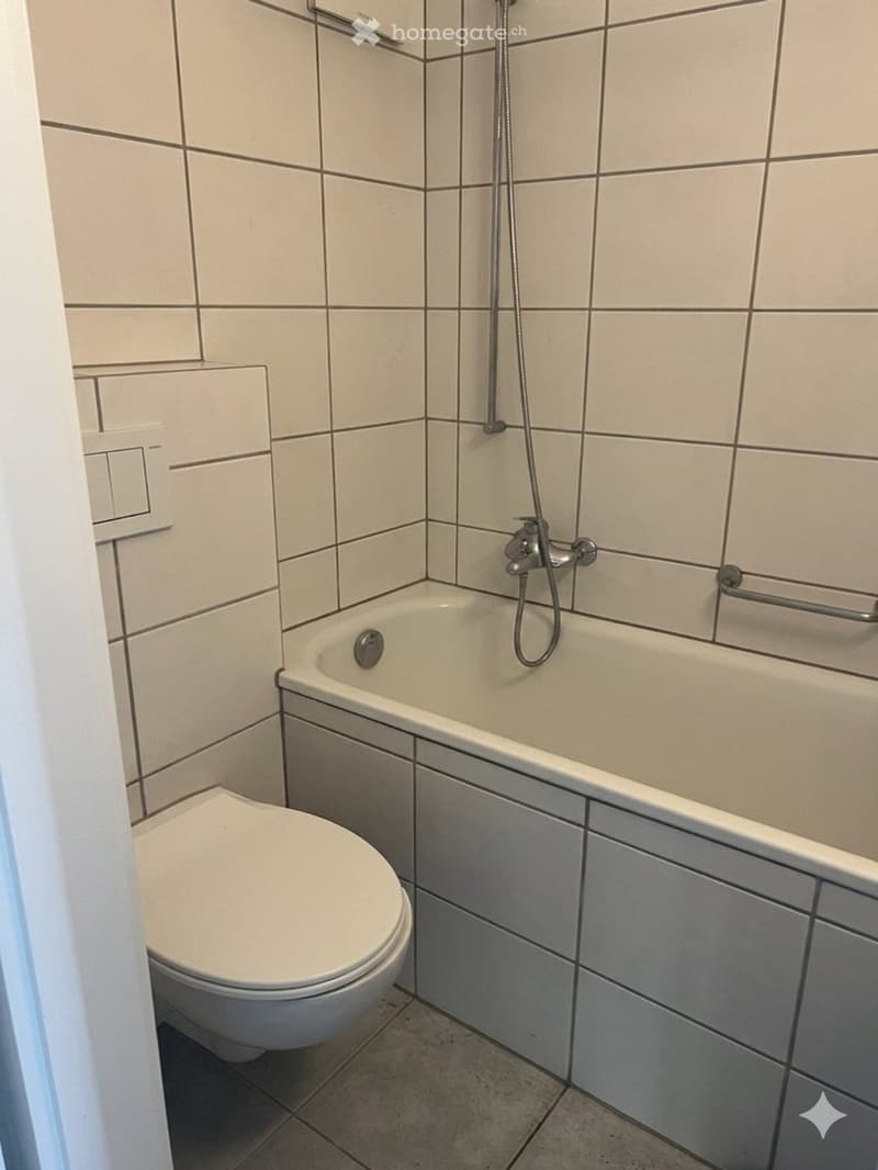 Nachmieter gesucht  2-Zi-Wohnung, Aarburg, ab 1. August (4)