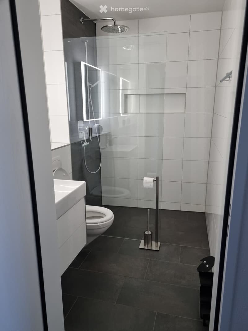 2 Zimmer zu vermieten (4)