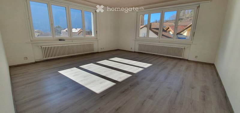 Appartement 4.5 pièces spacieux et lumineux (4)