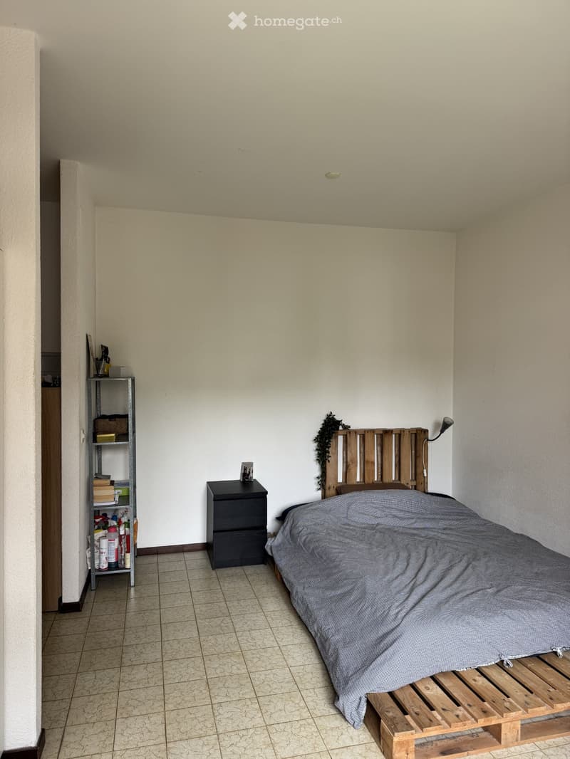 Monolocale/ Studio 1.5 a Cassarate (3)