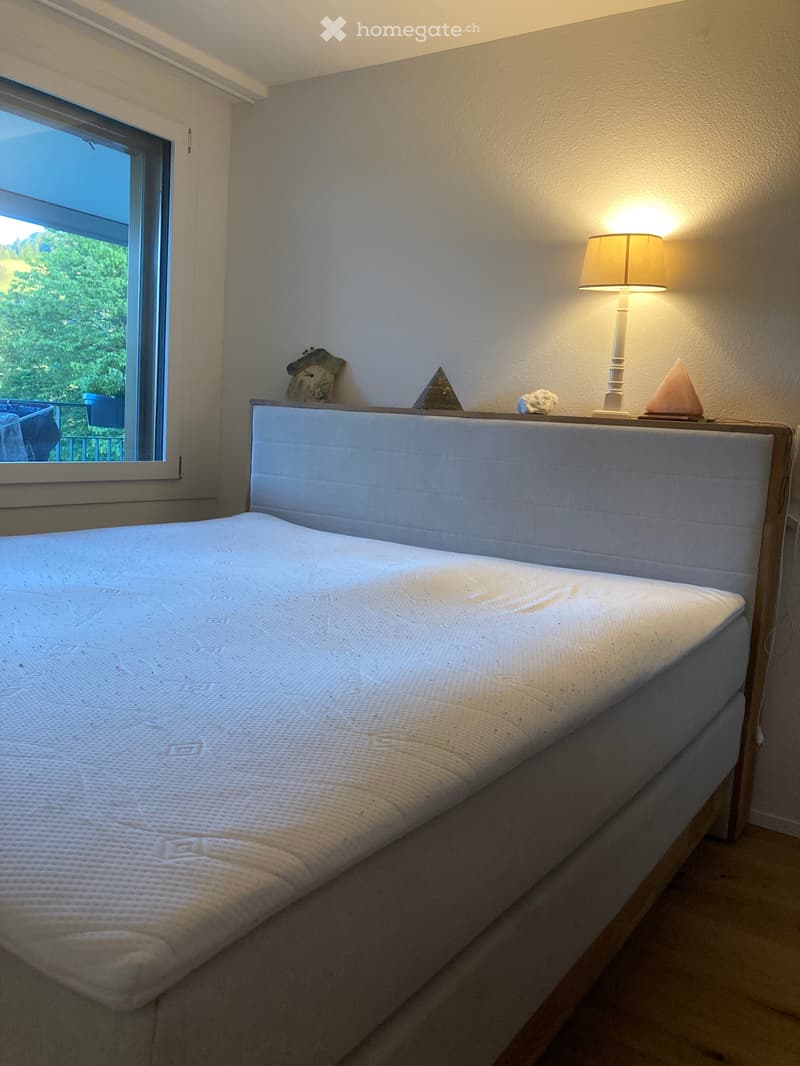 Großzügige BalkonWohnung mit Pilatus Blick (4)