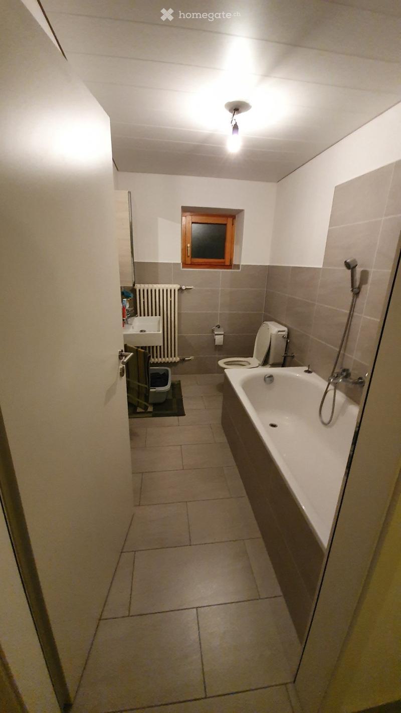Appartamento 2 locali (4)
