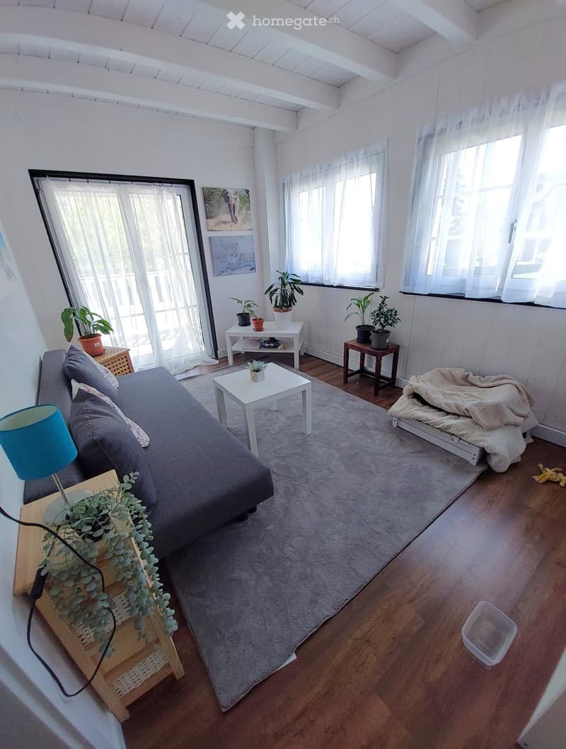 3 Zimmer Wohnung (2)