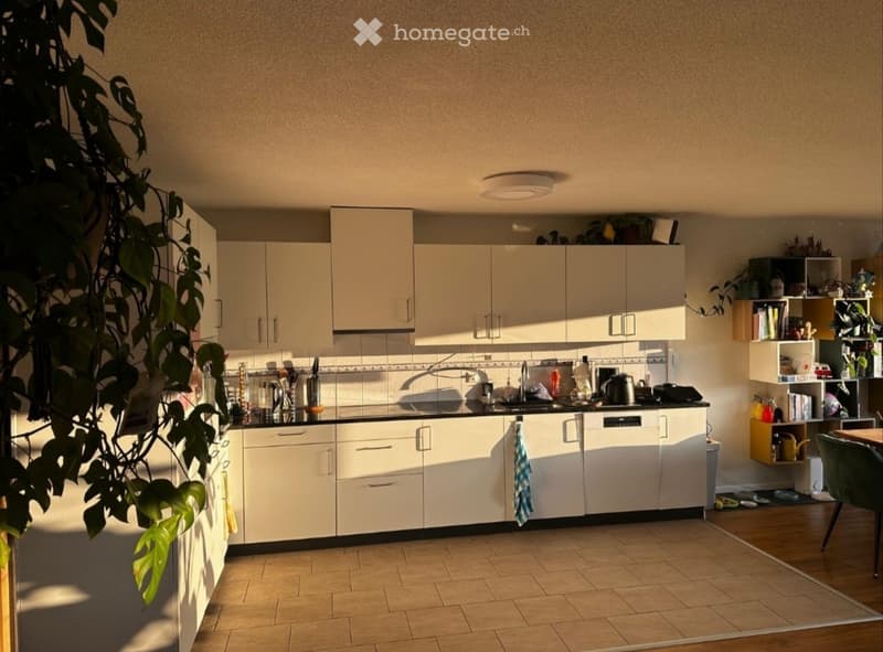 WG-Zimmer in Winterthur ab 1.8. (2)