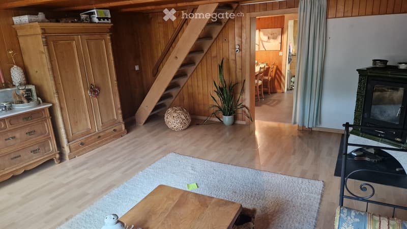 Heimelige 3.5 Zimmer Wohnung (2)
