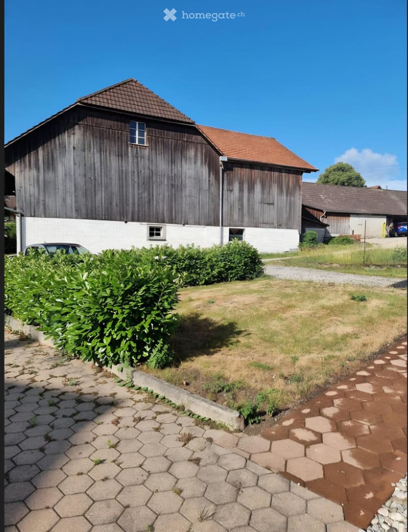 Wohnung in Kallnach zu vermieten (2)