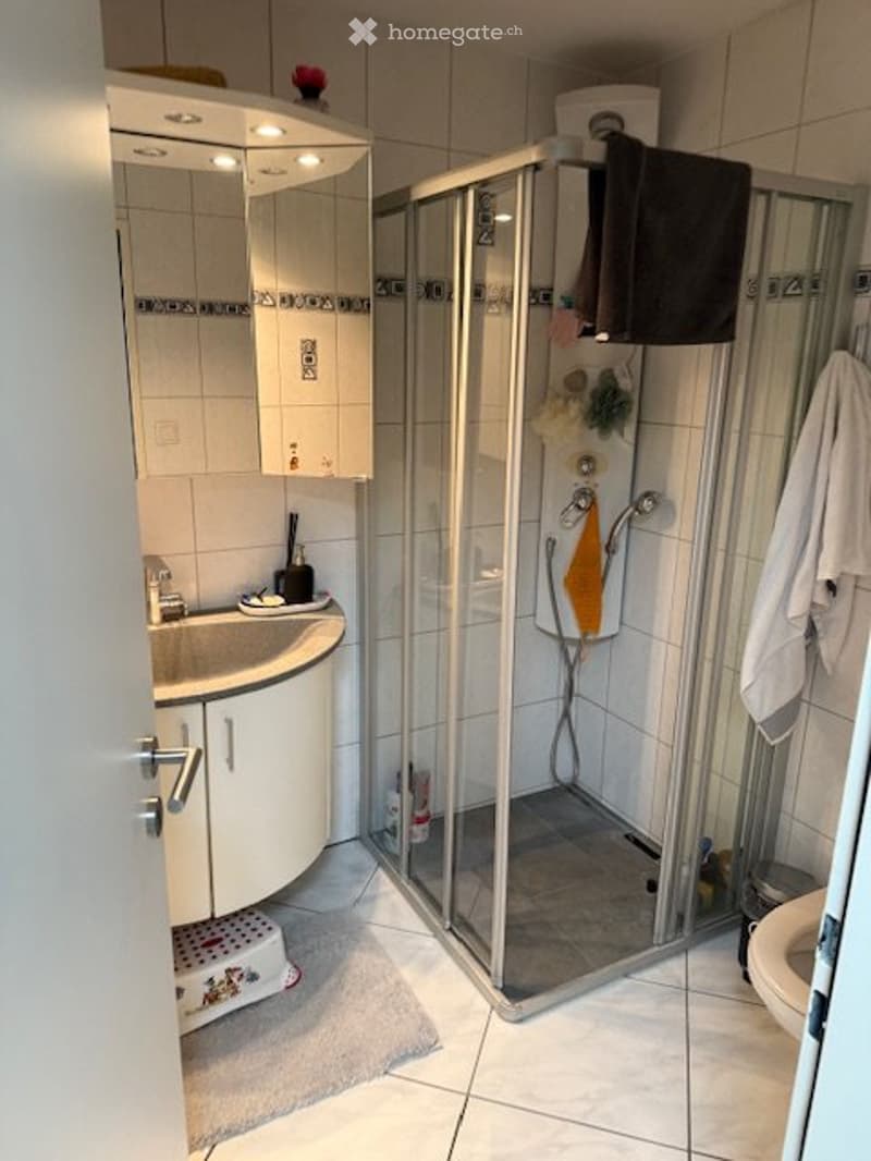4½ZimmerEigentumswohnung kaufen in Wattwil SG (2)