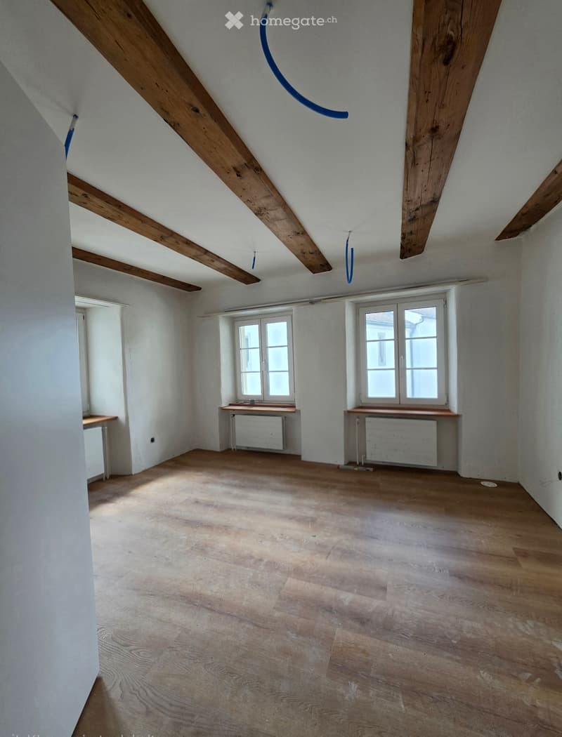 Kernsaniertes 7.5-Zimmer-Altstadthaus mit Terrasse (2)