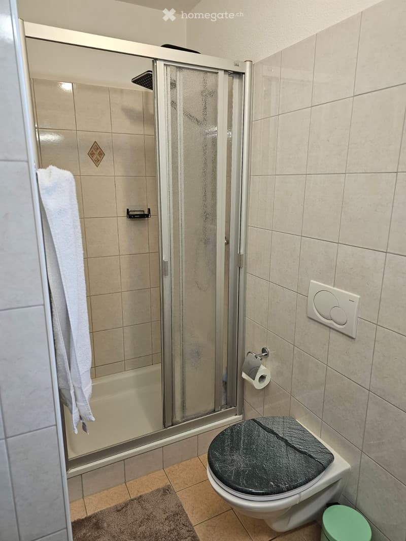 Affitto appartamento con giardinetto locali 4 1/2 a Rivera (4)