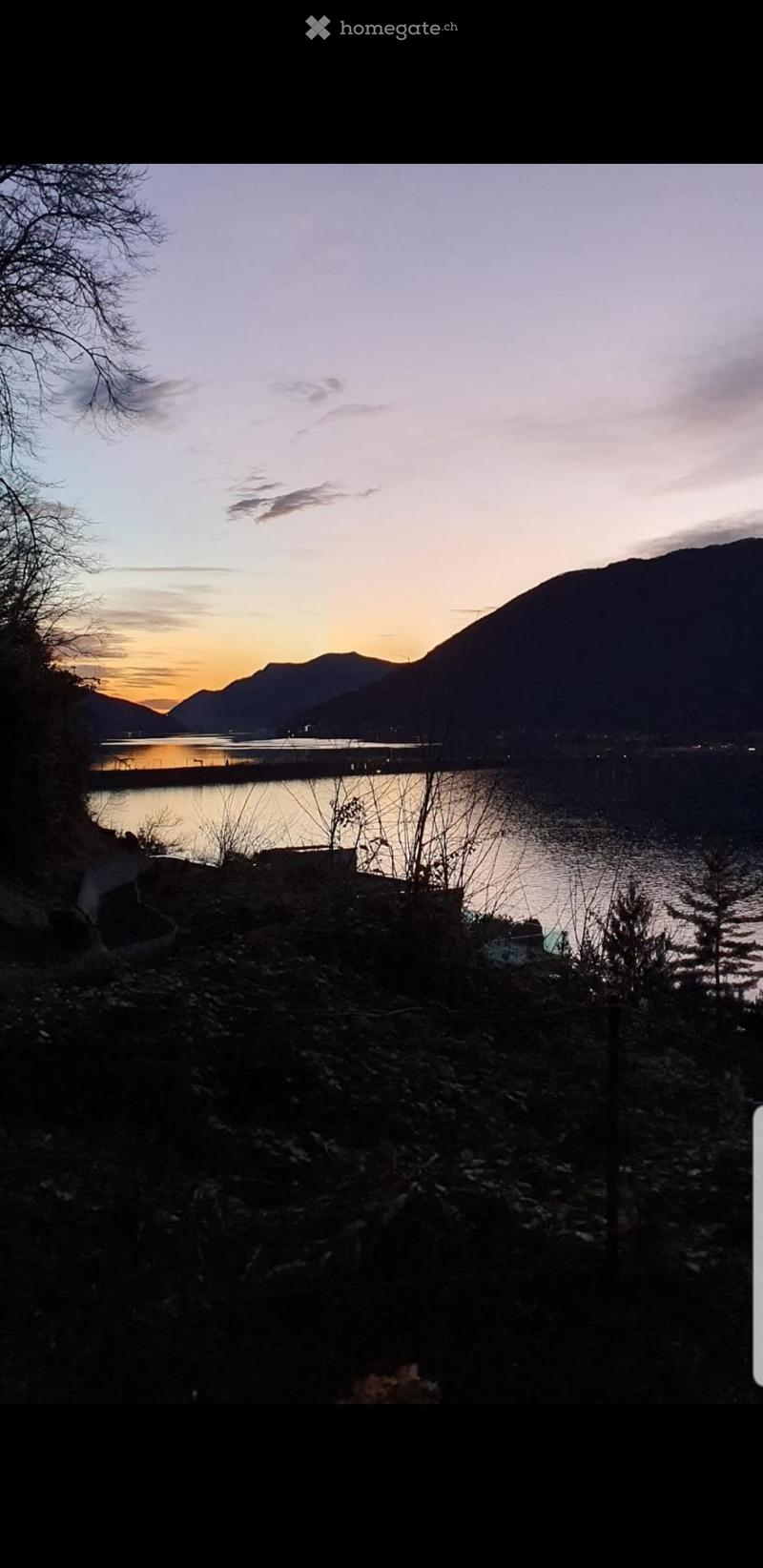 Bissone, 2.5 (1)