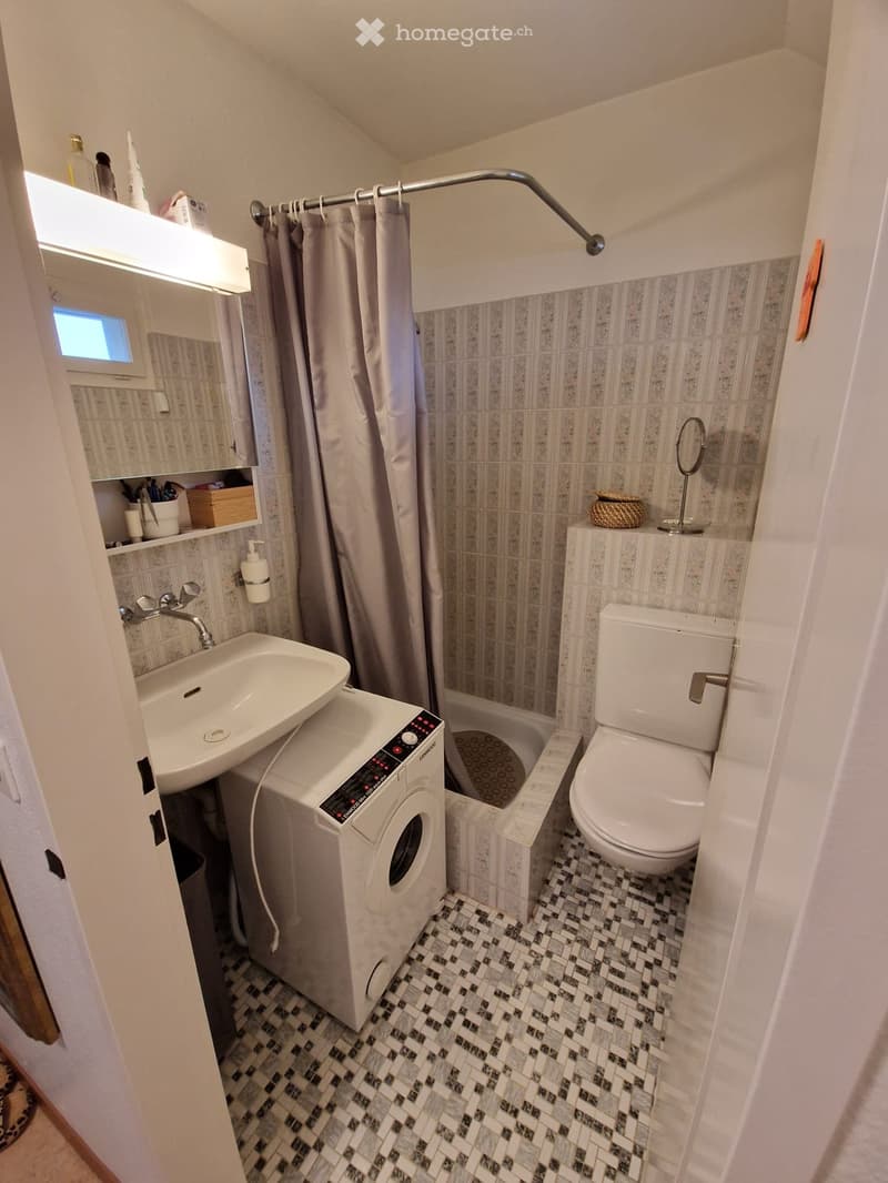 Schöne Studiowohnung in Uster mit grosser Terrasse (3)