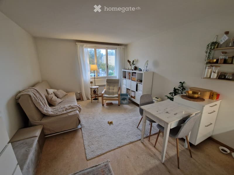 Schöne Studiowohnung in Uster mit grosser Terrasse (2)