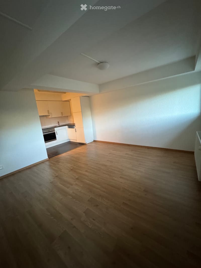 Grosszügige 2-Zimmerwohnung (3)
