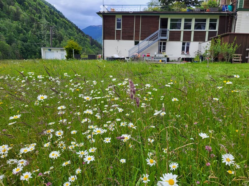 Möbliertes Zimmer an idyllischer Lage im Glarnerland (4)