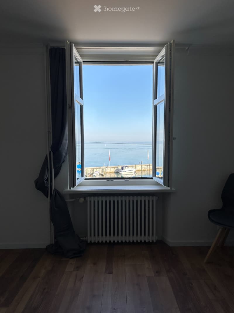 Frisch renovierte 2.5 Zimmer WHG direkt am See in Rorschach (3)