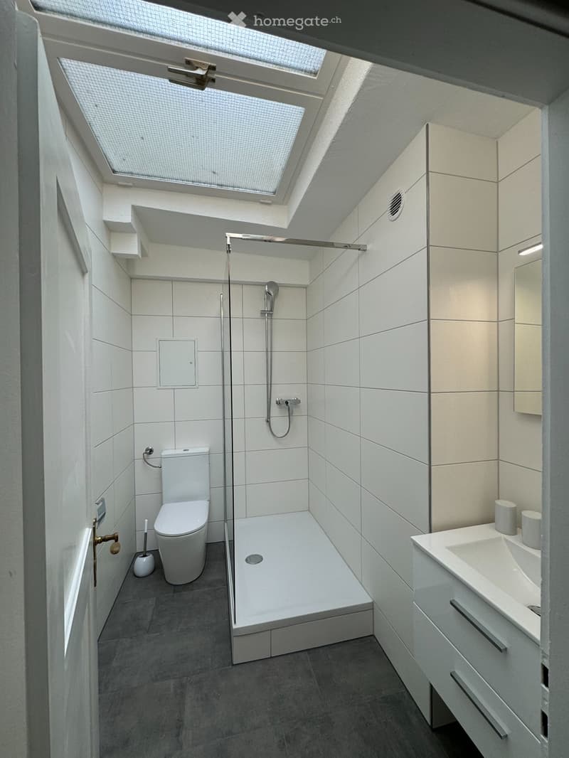 Frisch renovierte 2.5 Zimmer WHG direkt am See in Rorschach (5)