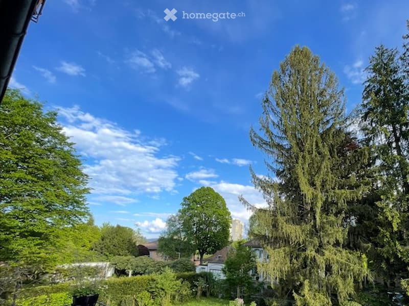 Schönes Südzimmer 20 m2 inkl. Mitbenutzung 5-Zi-Whg, Bern (5)