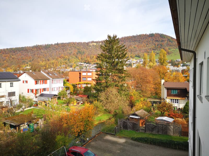 Zentral gelegene 2.5 Zimmer-Wohnung in top Zustand (1)
