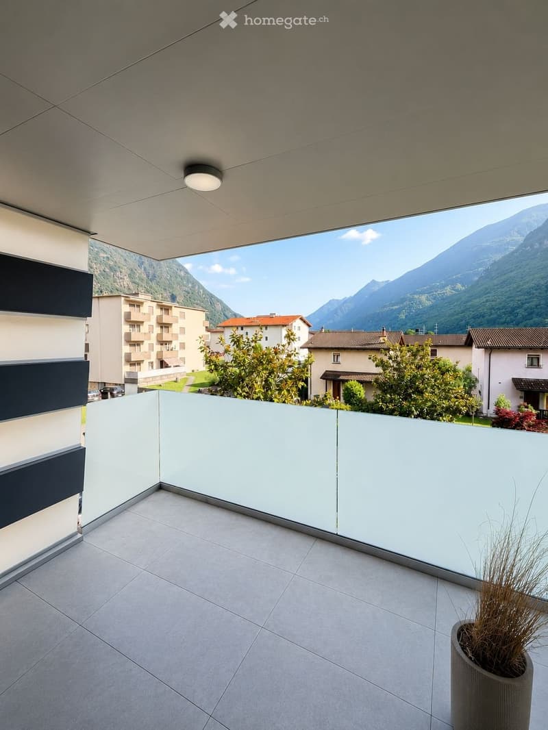 Splendido Appartamento 3,5. (parzialmente ammobiliato) (4)